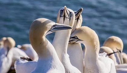 乐鱼体育下载入口-职业体育经纪人管理办法将于明年实施，体育职业经理人有什么用